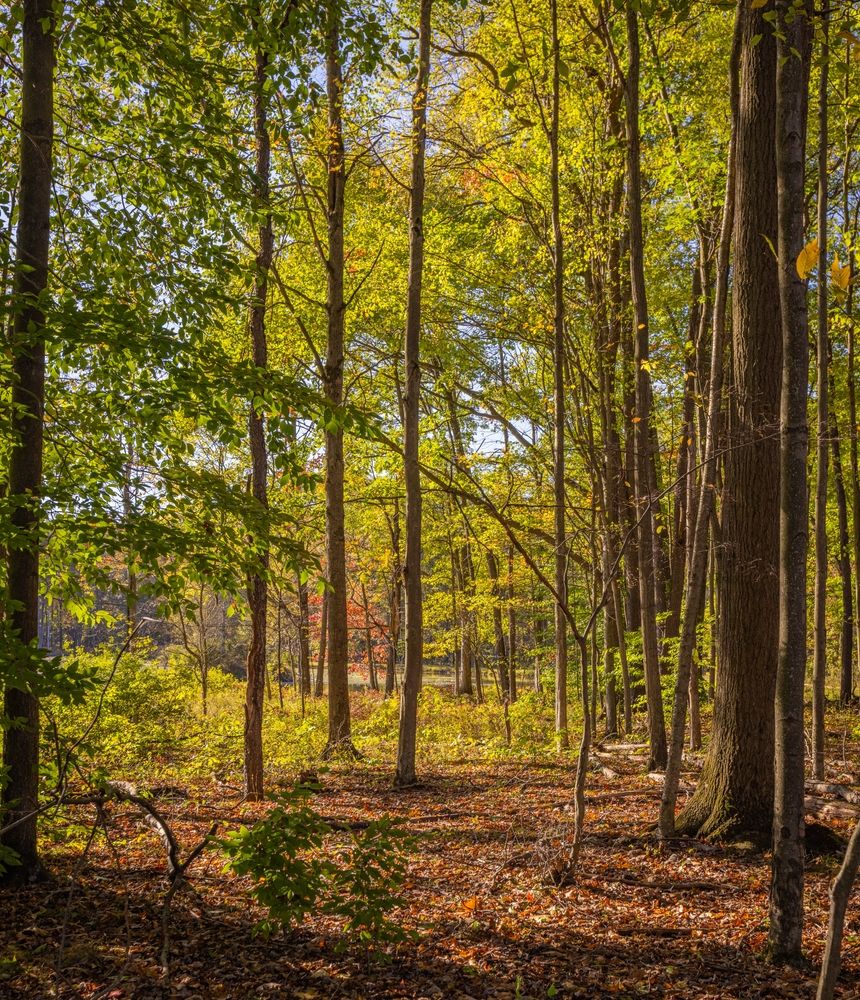 Nature trail at Audubon Community Nature Center