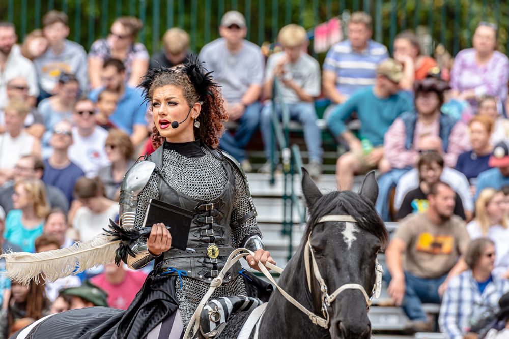 View of Carolina Renaissance Festival