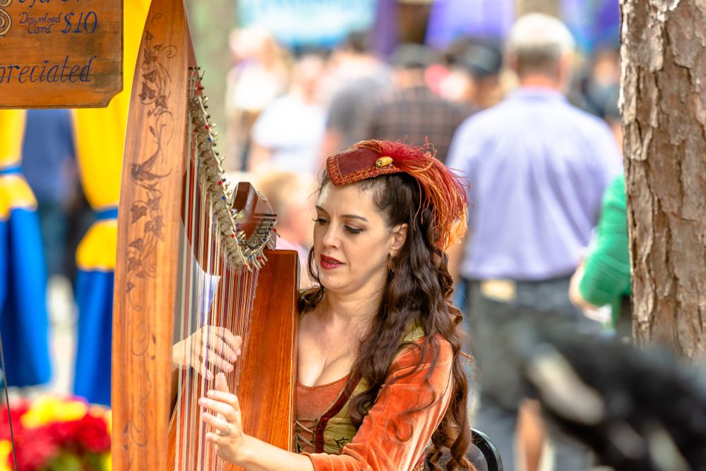 View of Carolina Renaissance Festival