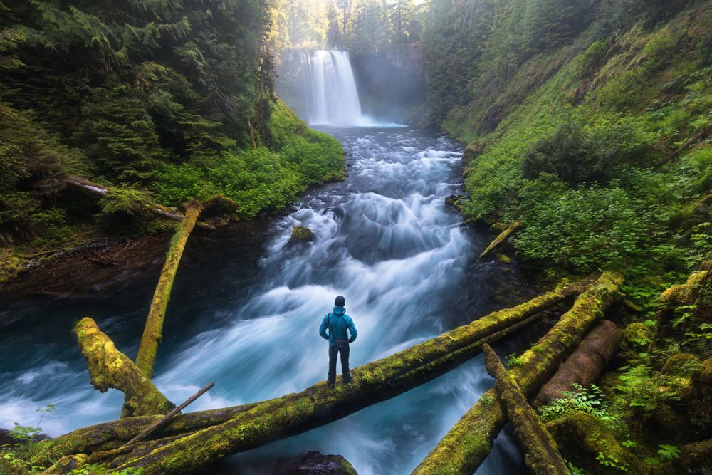 View of Koosah Falls