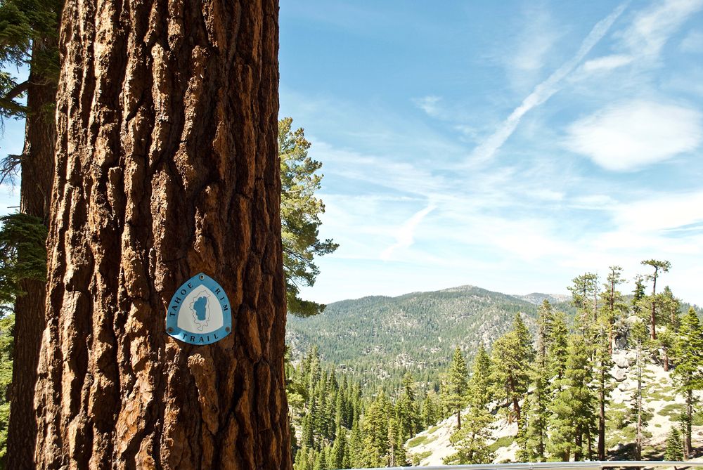 View of Tahoe Rim Trail
