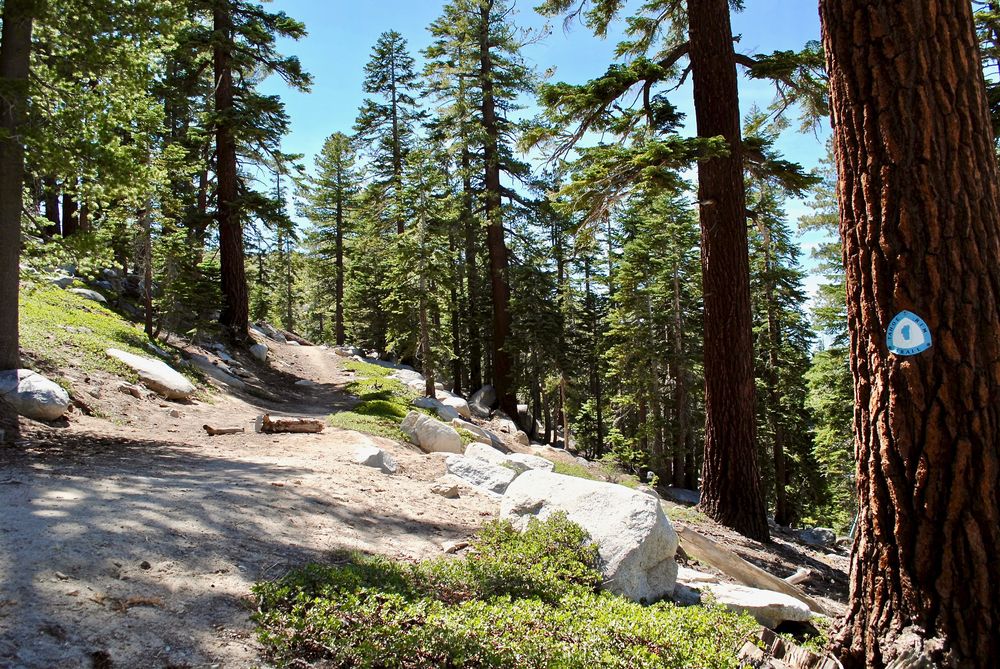 View of Tahoe Rim Trail
