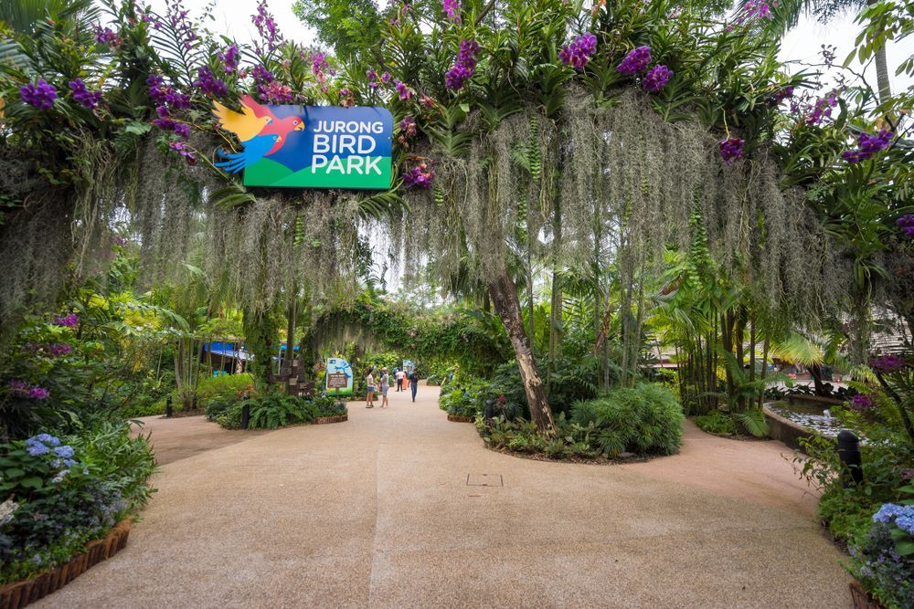 Jurong Bird Park