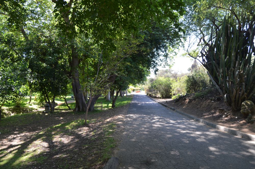 Trail at the University of California Riverside Botanic Gardens