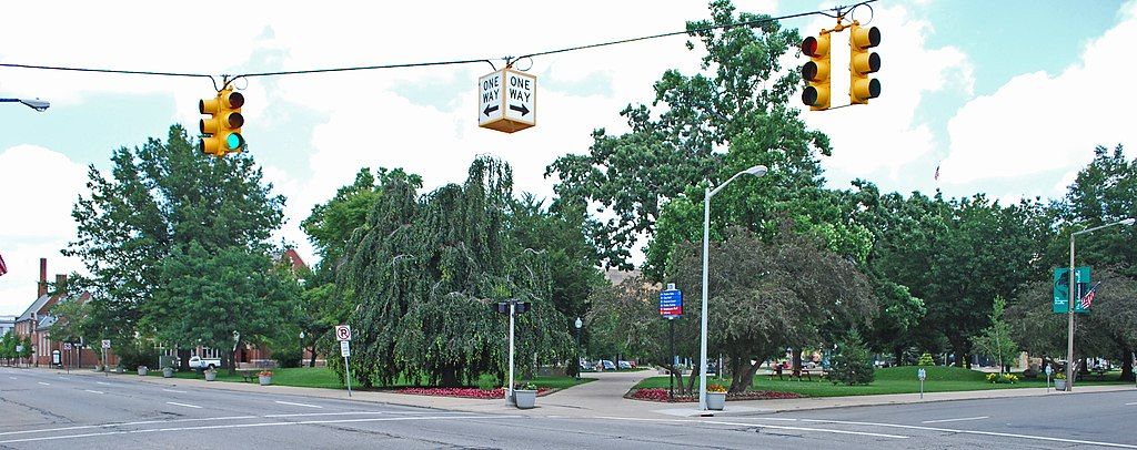 The trees of Bronson Park