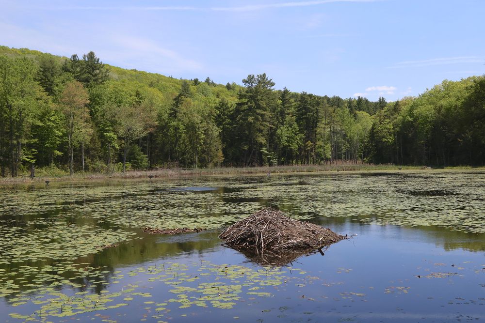 The waters of Pleasant Valley Sanctuary