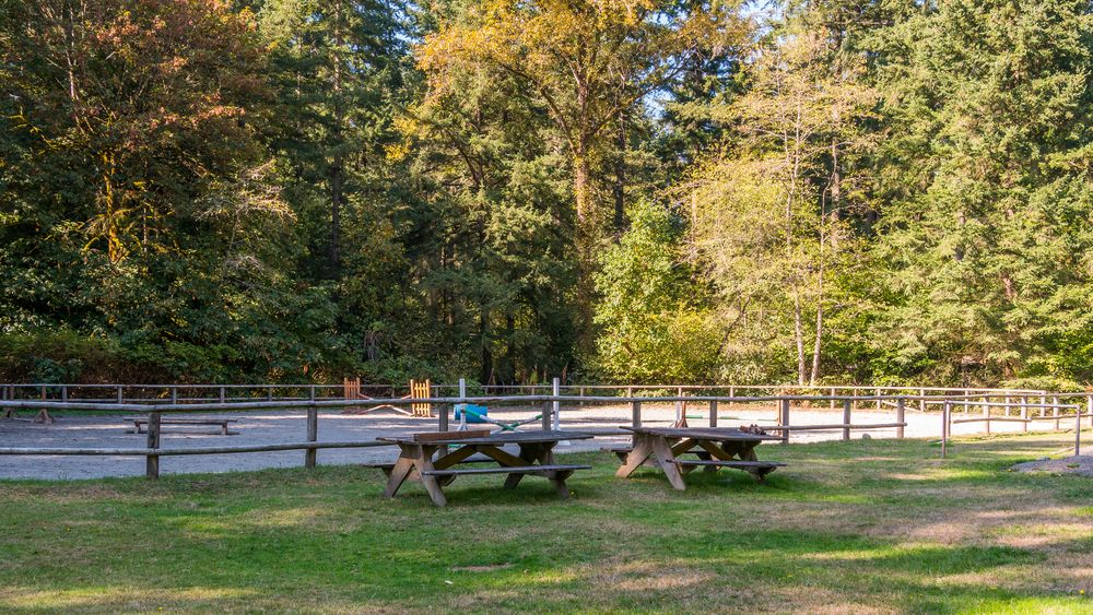 Horseback riding area at Bridle Trails State Park