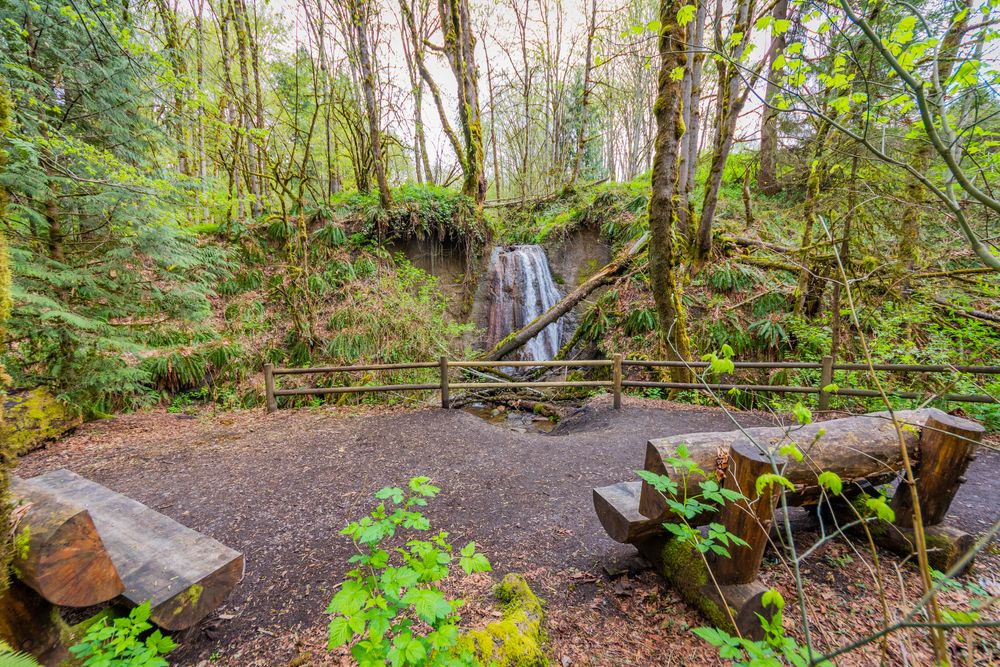 Wooden benches near Coal Creek Falls
