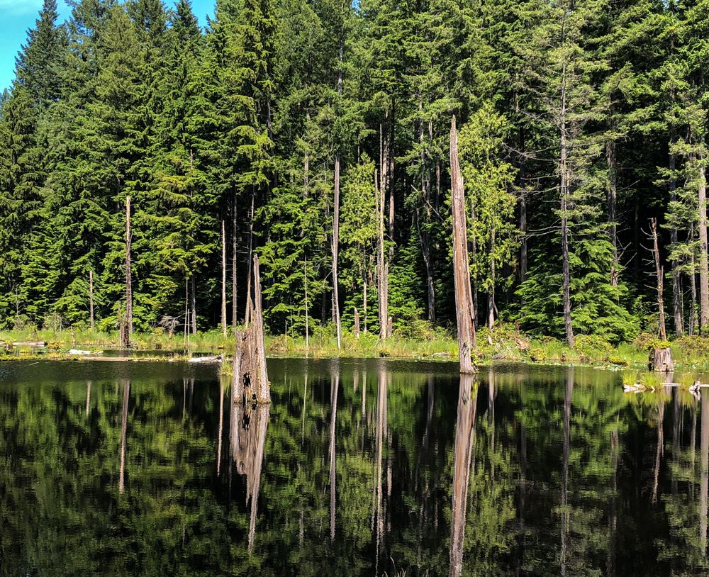 Waters at Redmond Watershed Preserve
