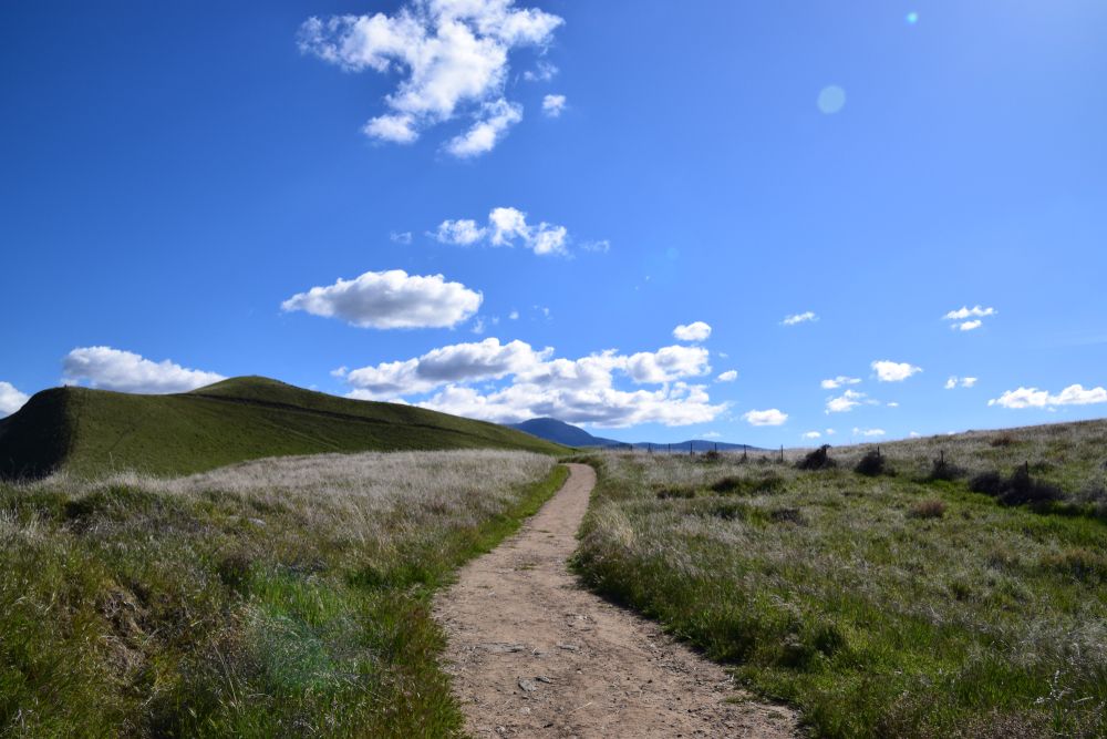 A trail at Wind Wolves Preserve
