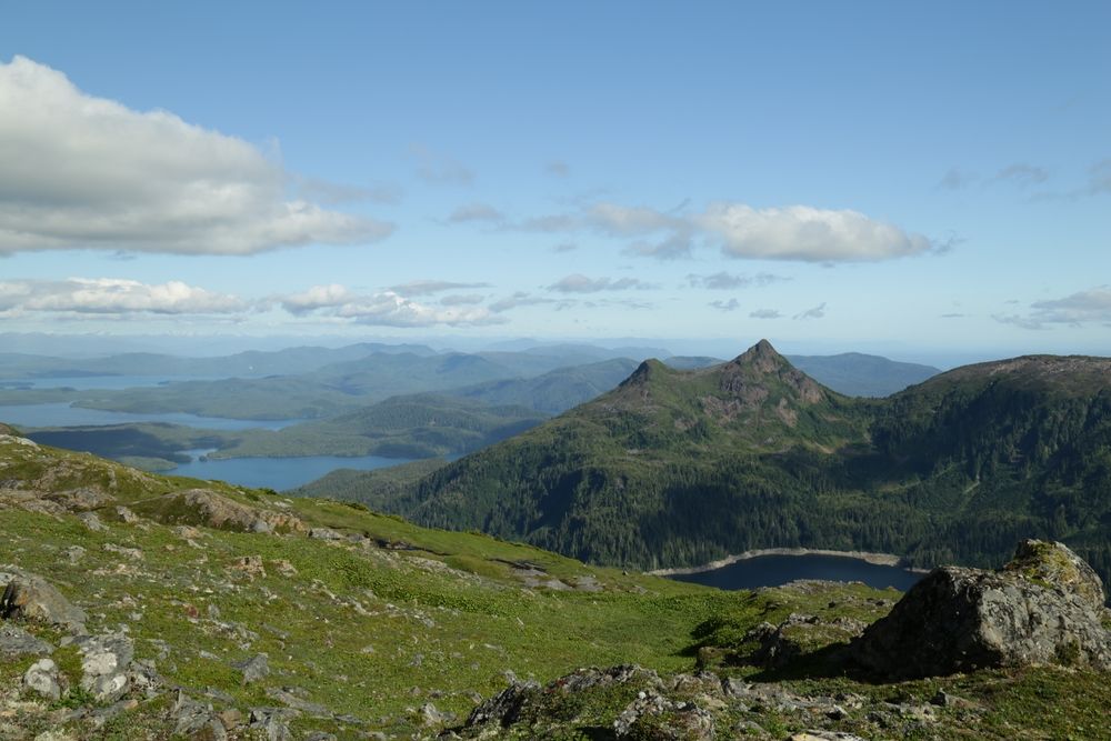 Scenic view from the Deer Mountain Trail