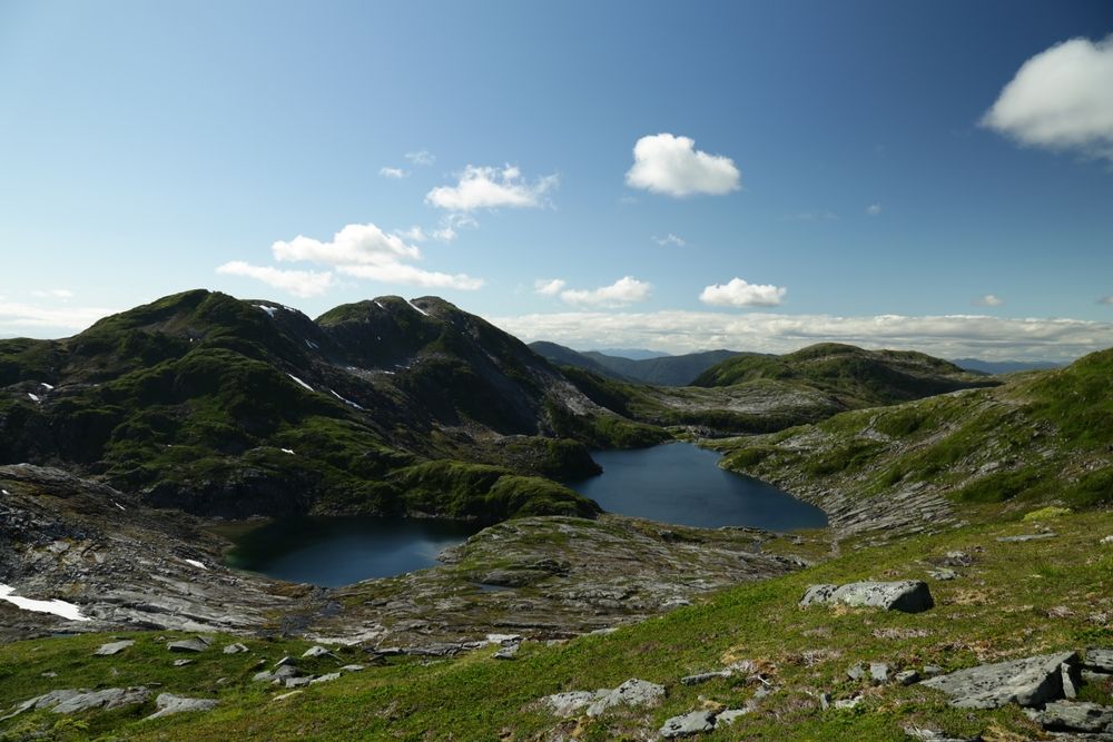Scenic daytime view at Deer Mountain Trail