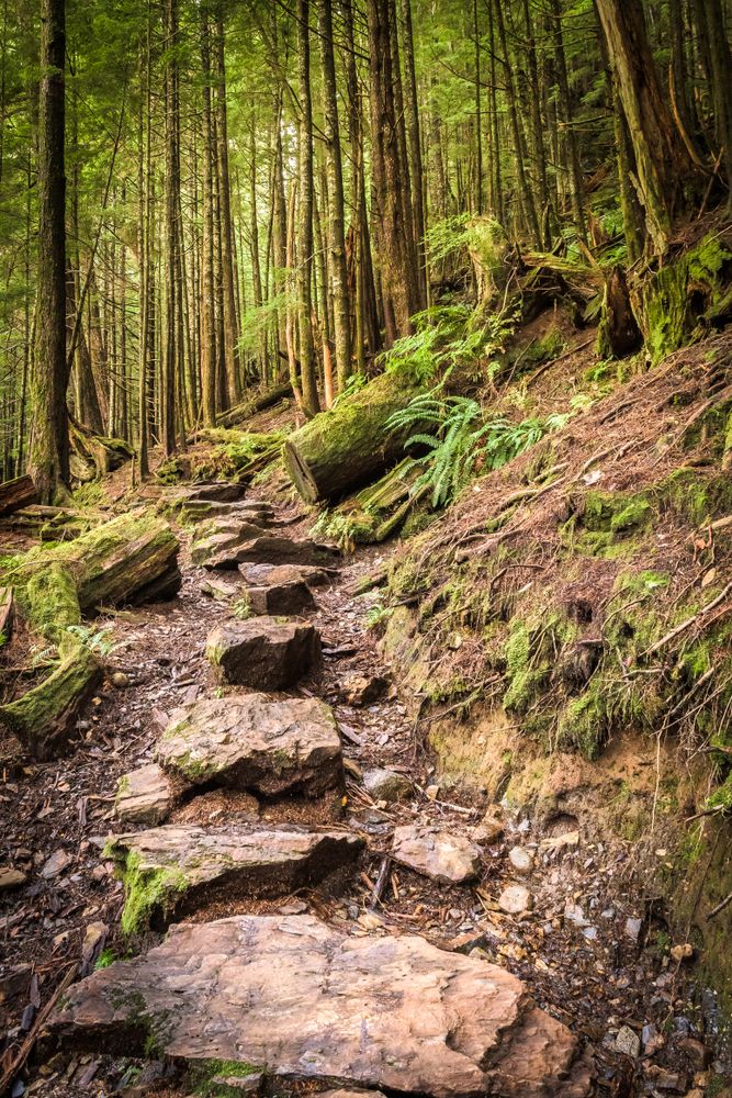 Rocky trail of Rainbird Trail