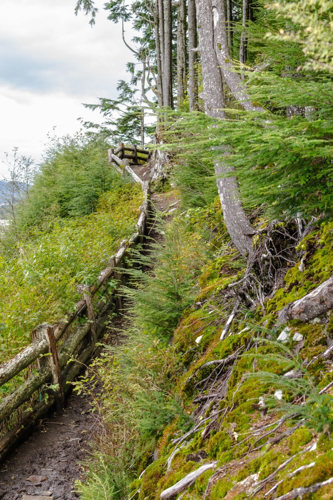 An uphill trail at Rainbird Trail