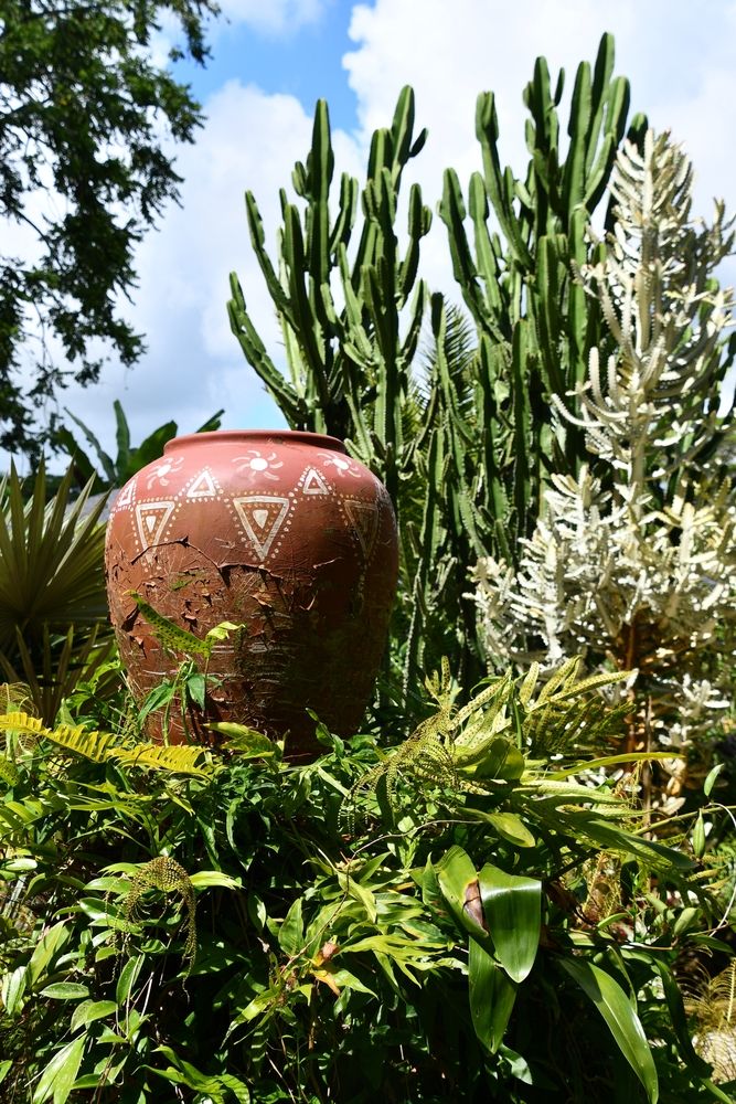 Beautiful plants in Kauai's Hindu Monastery