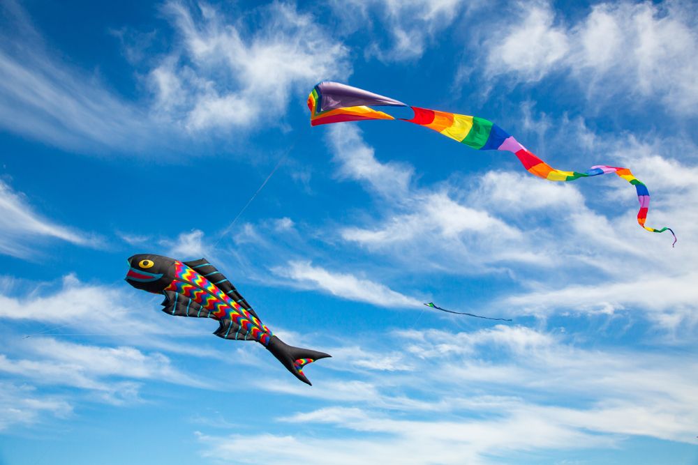 Fish-shaped kites at the Kite Festival