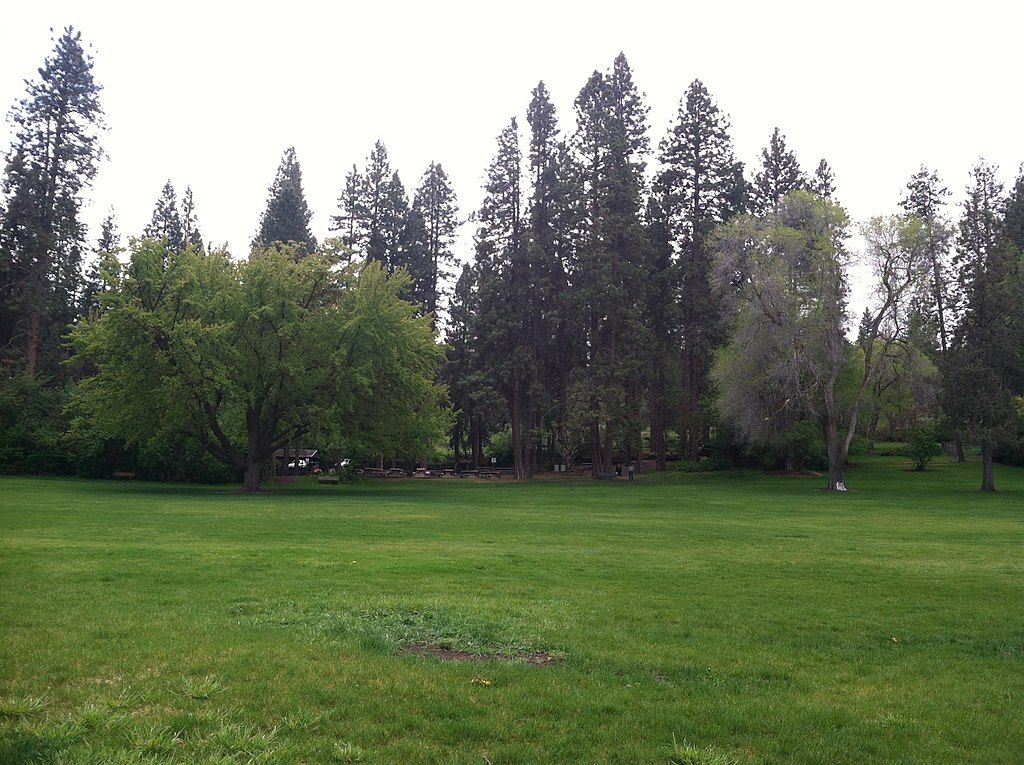 Picnic area at Moore Park