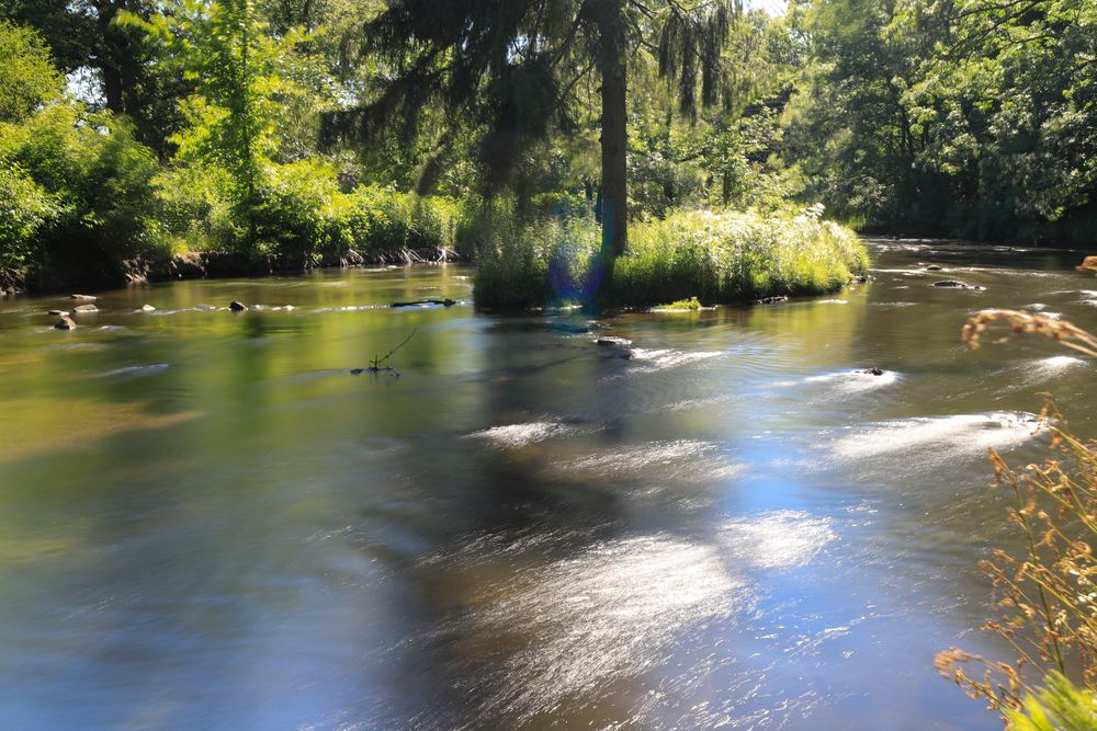 The waters of Milham Park