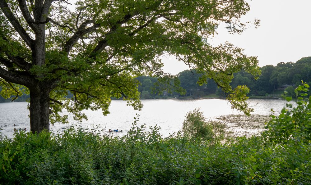 The waters of Woods Lake Park