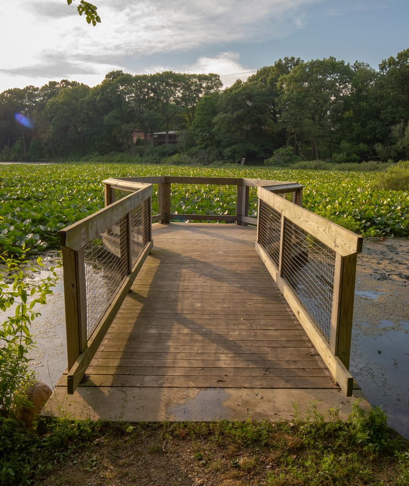 A short dock at Woods Lake Park