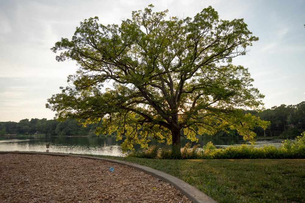 The grounds of Woods Lake Park