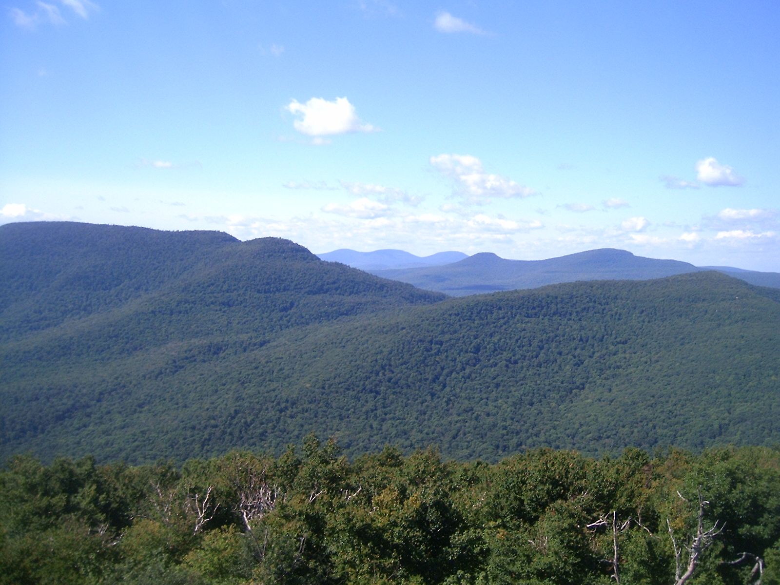 Overlook Mountains from the fire tower
