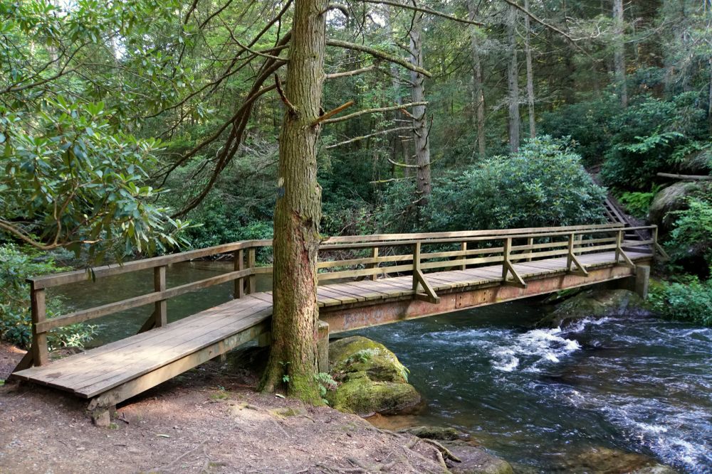 A short footbridge at Beltzville State Park