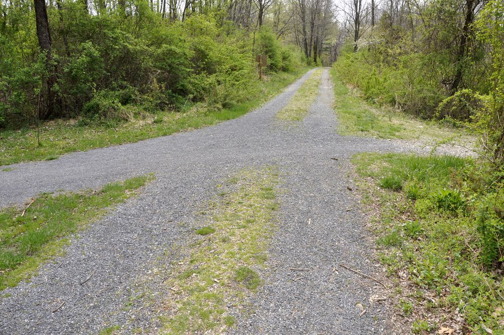 A trail at Jacobsburg State Park