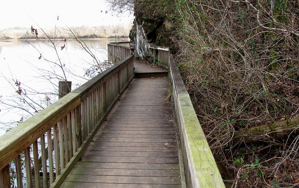 Boardwalk at Ijams Nature Center