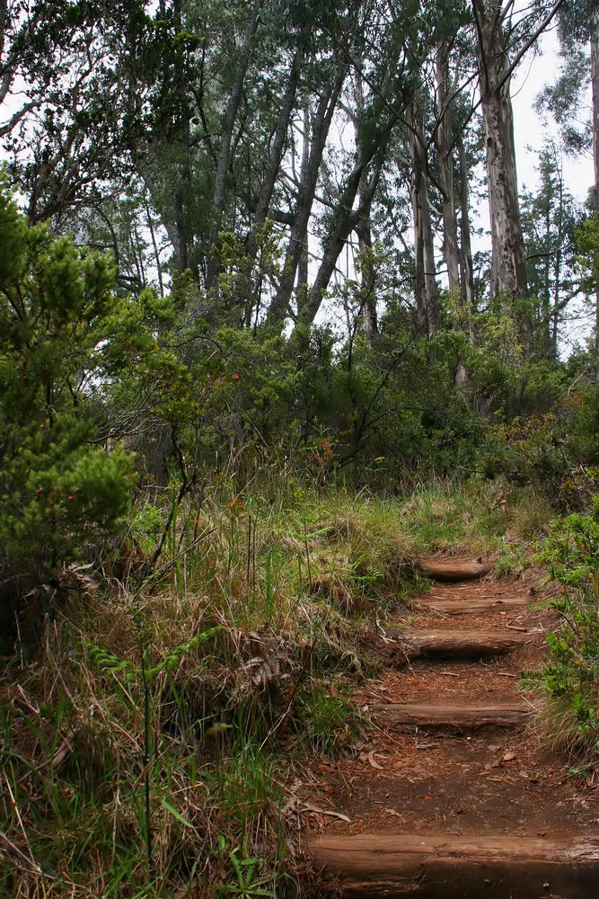 A trail in Haleakala National Park