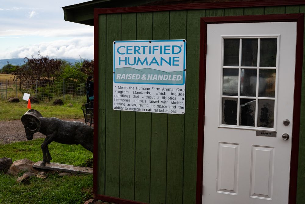 Exterior of a shed at Surfing Goat Dairy