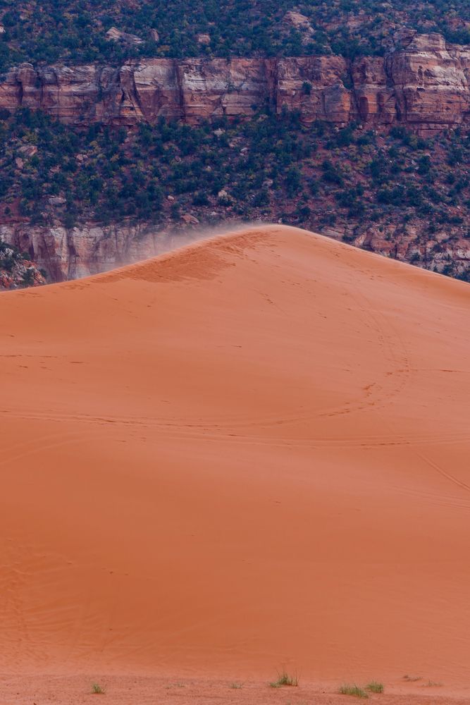 Pink sands of Coral Pink Sand Dunes State Park