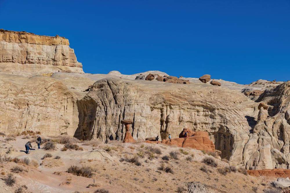 Rock formations surrounding Toadstool Hoodoos