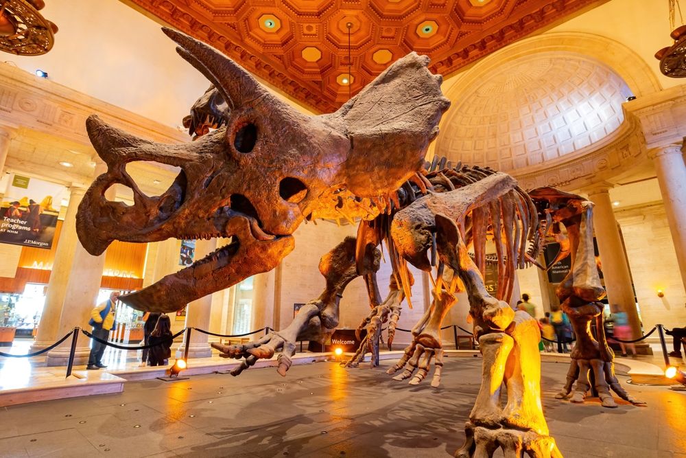 Dinosaur skeleton in the Natural History Museum of Los Angeles County