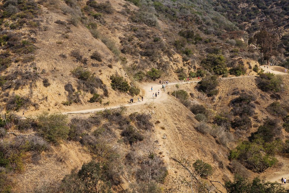 Aerial view of Runyon Canyon Park's trail