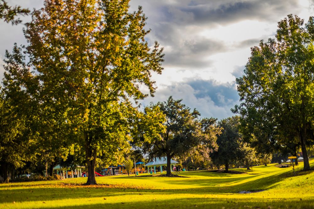 Trees and grass of Girard Park