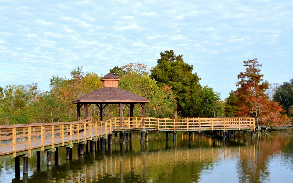 View of Lafreniere Park