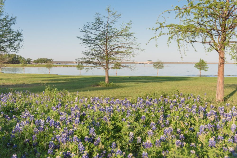 Scenic view of Lake Lewisville