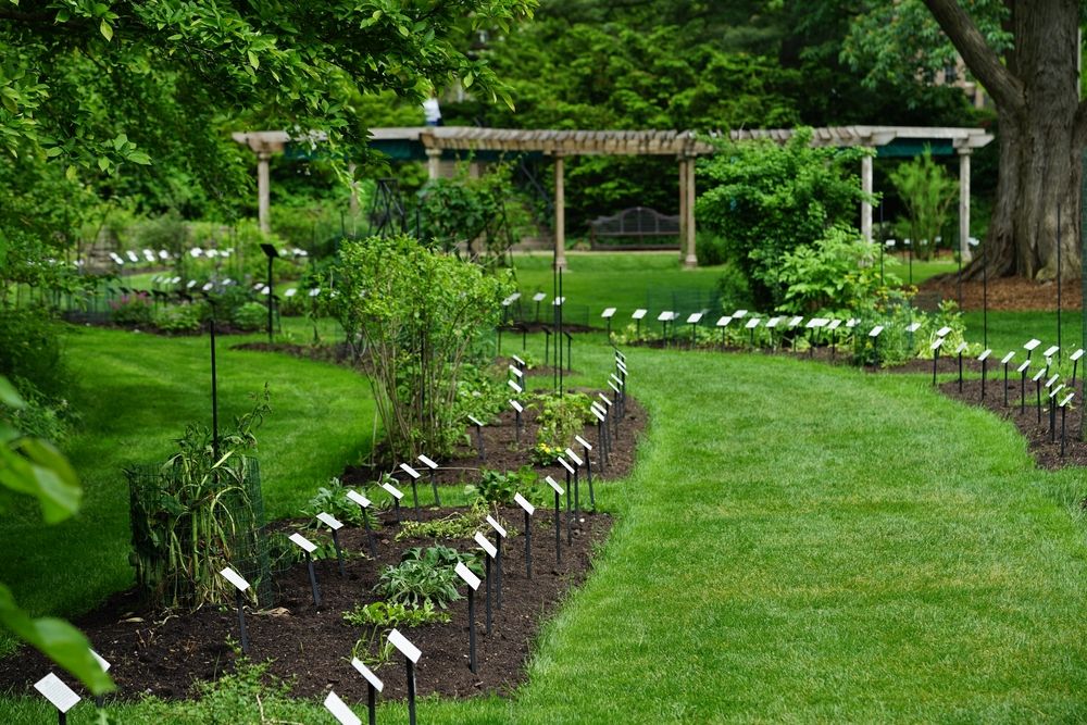 Lush landscape of W.J. Beal Botanical Garden