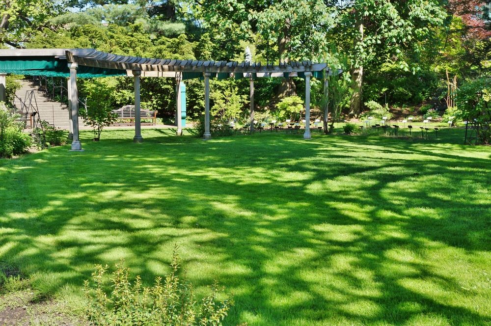 Clean cut grass of W.J. Beal Botanical Garden