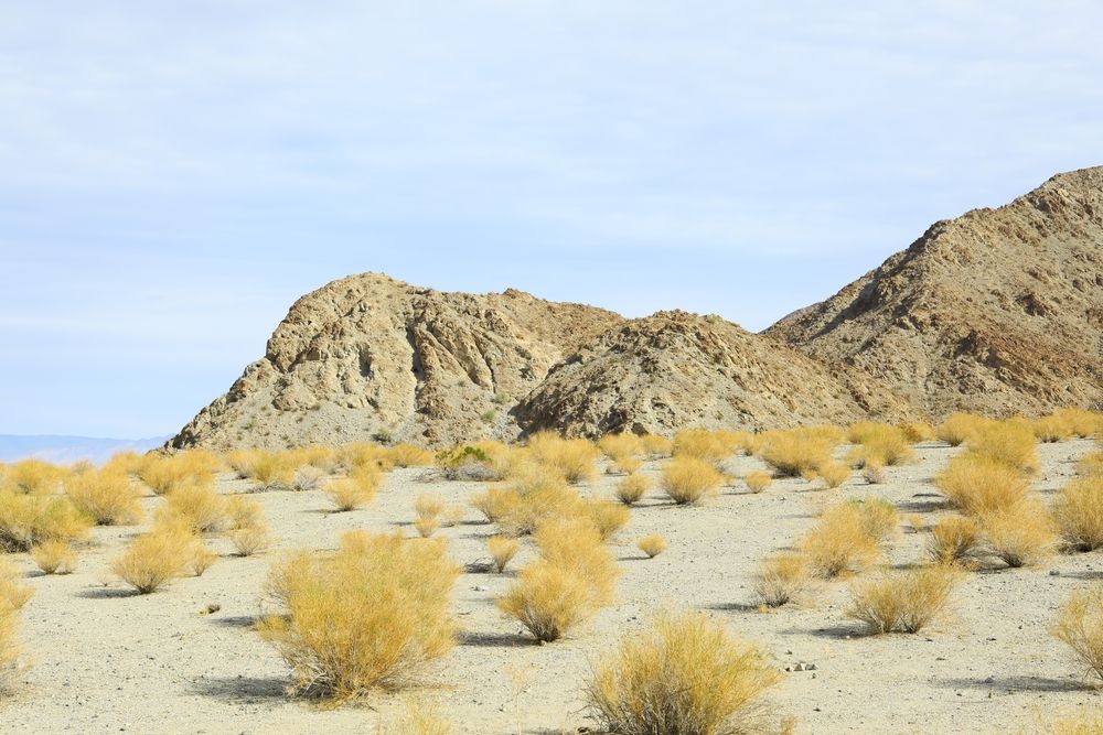 Scenic view of the Cove Oasis Trailhead.