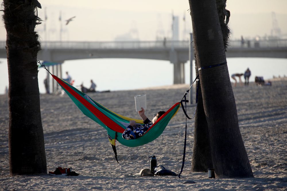 Hammock at Belmont Shore Beach