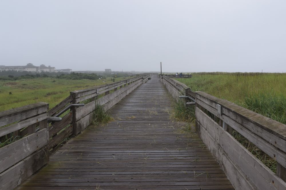 Walkway of The Boardwalk
