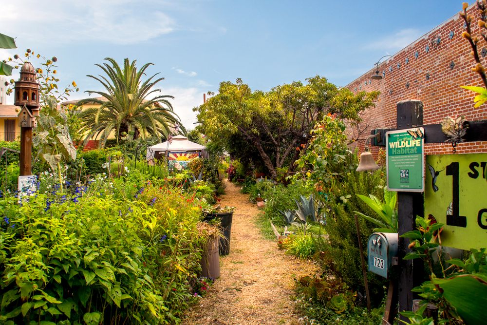 Wildlife habitat at East Village Arts District