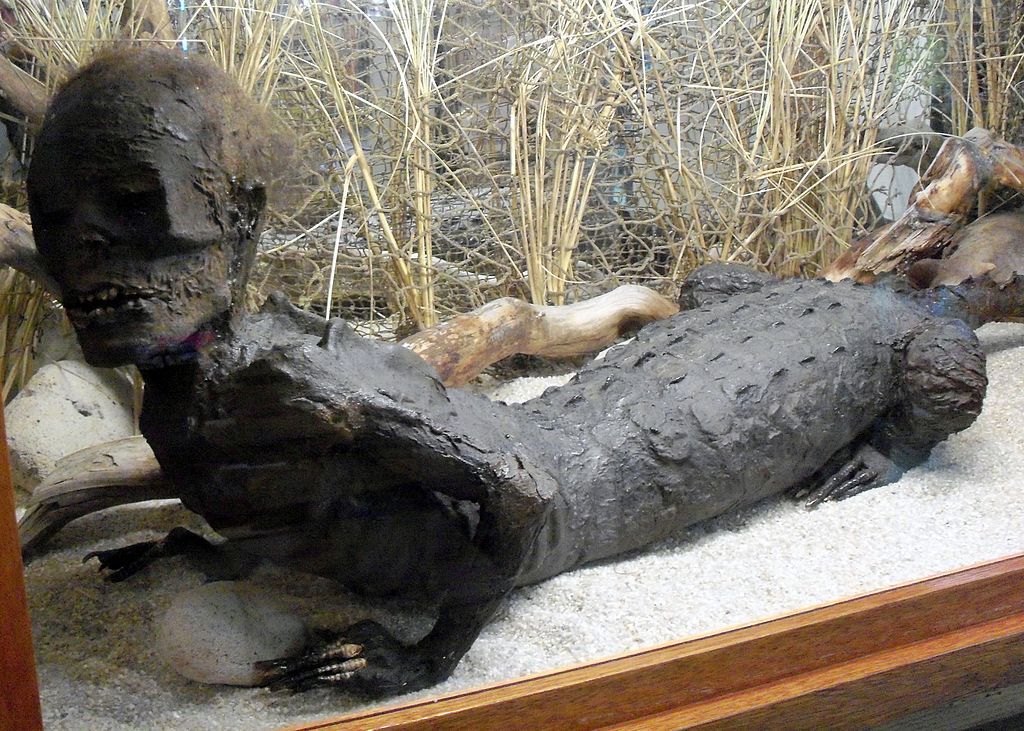 Jake the alligator man displayed in Marsh’s Free Museum