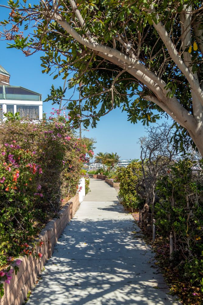 Trail at Naples Island