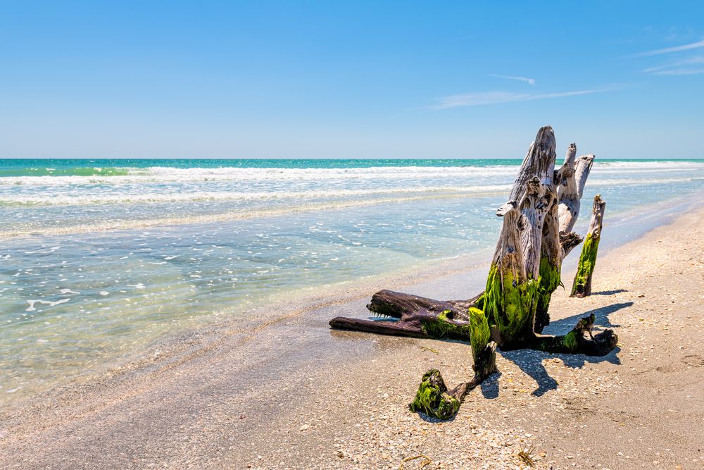 The waters of Bowman's Beach Park