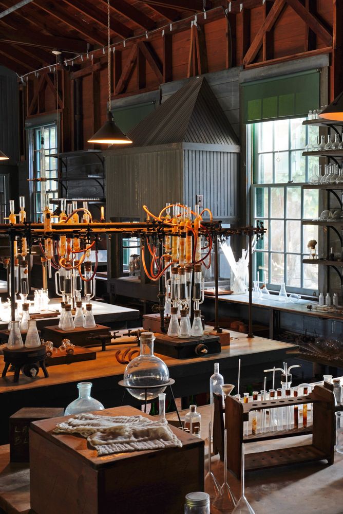 A lab in Edison & Ford Winter Estates