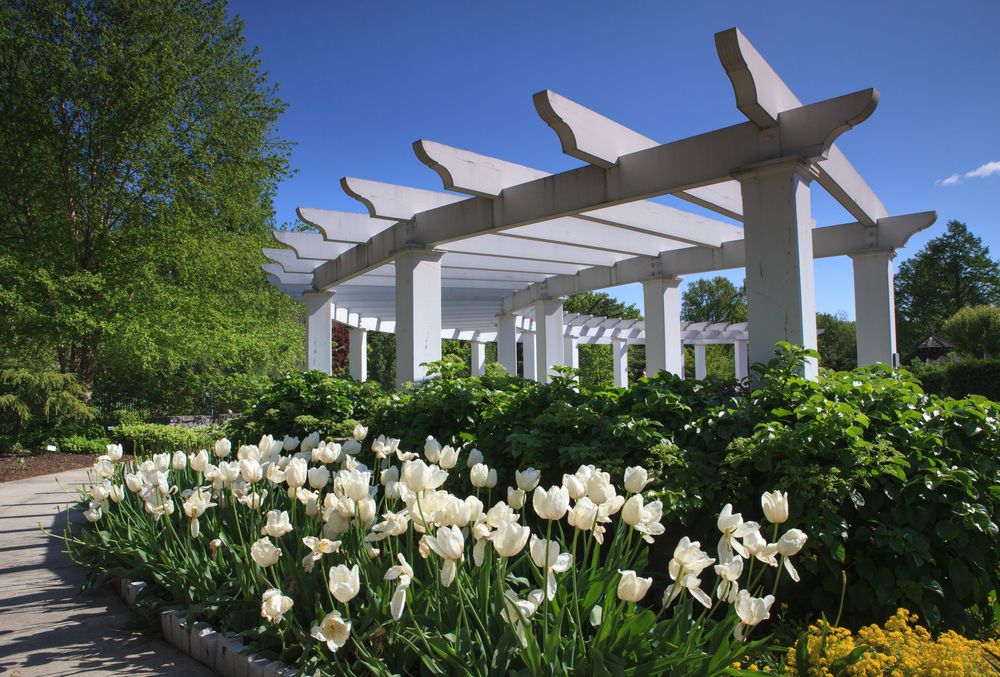 Tulips at Hershey Gardens