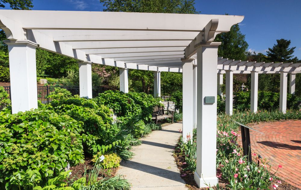 Pergola lined with flora at Hershey Gardens